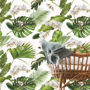 Orchids / Sample